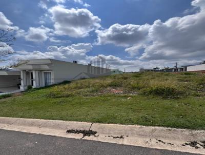 Terreno para Venda, em Bragan�a Paulista, bairro Residencial San Vitale