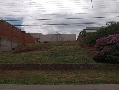 Terreno para Venda, em Bragan�a Paulista, bairro Jardim Primavera
